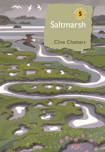 Saltmarsh cover