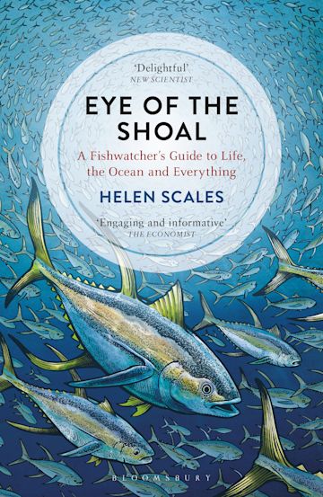 Eye of the Shoal cover