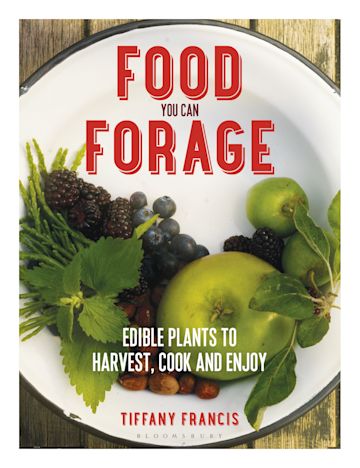 Food You Can Forage cover