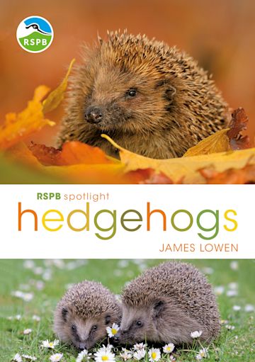 RSPB Spotlight Hedgehogs cover