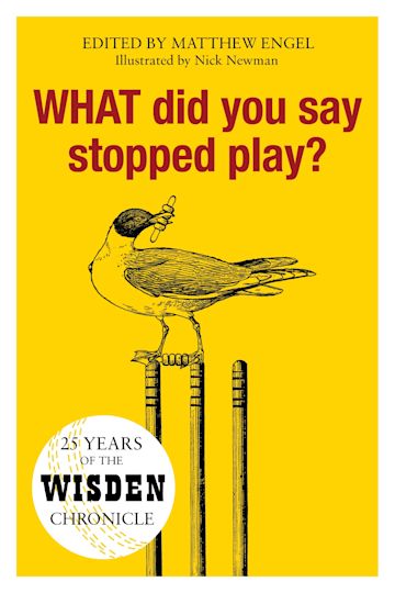 WHAT Did You Say Stopped Play? cover