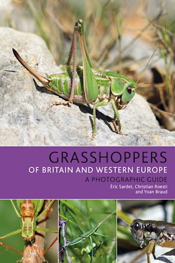 Grasshoppers of Britain and Western Europe cover