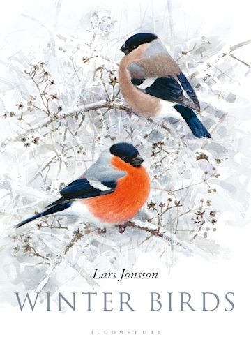 Winter Birds cover