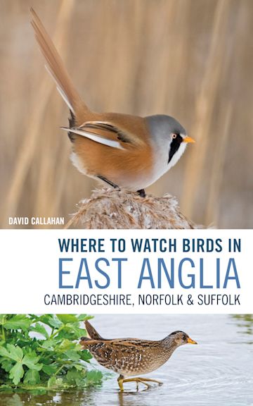 Where to Watch Birds in East Anglia cover