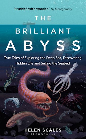 The Brilliant Abyss cover