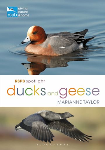 RSPB Spotlight Ducks and Geese cover