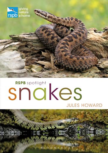 RSPB Spotlight Snakes cover