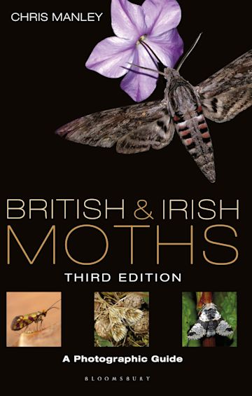 British and Irish Moths: Third Edition cover