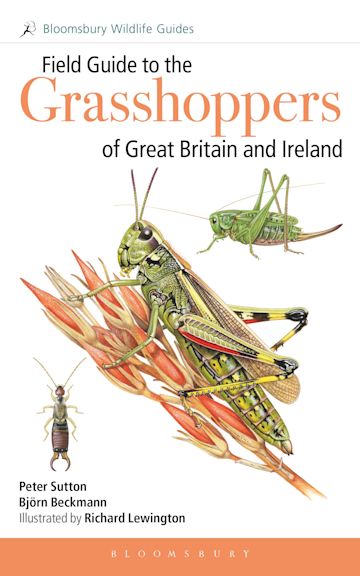 Field Guide to the Grasshoppers of Great Britain and Ireland cover