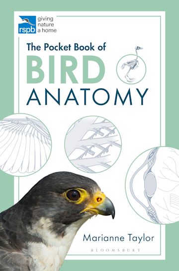 The Pocket Book of Bird Anatomy cover