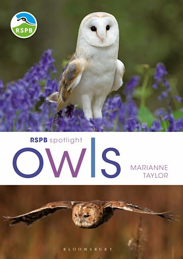 RSPB Spotlight Owls cover