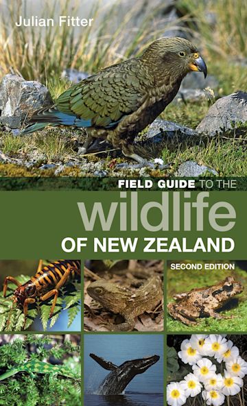 Field Guide to the Wildlife of New Zealand cover