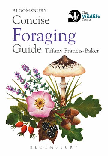 Concise Foraging Guide cover