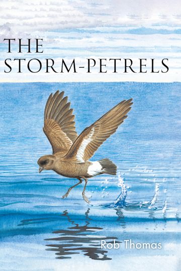 The Storm-petrels cover