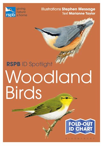 RSPB ID Spotlight - Woodland Birds: : RSPB Marianne Taylor Bloomsbury ...