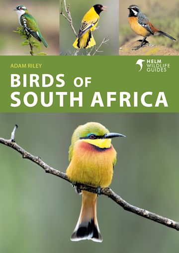 Birds of South Africa: : Helm Wildlife Guides Adam Riley Bloomsbury Wildlife