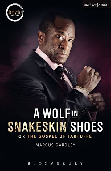 A Wolf in Snakeskin Shoes cover