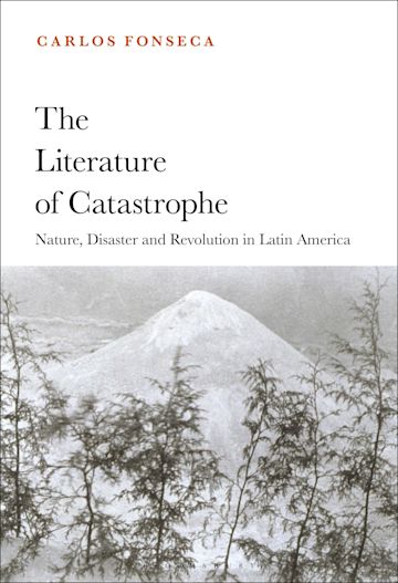 The Literature of Catastrophe cover