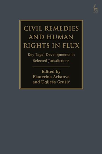 Civil Remedies and Human Rights in Flux cover