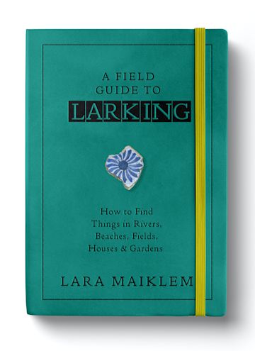 A Field Guide to Larking cover