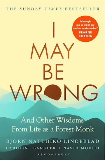 I May Be Wrong cover