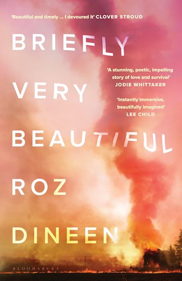 Briefly Very Beautiful by Roz Dineen