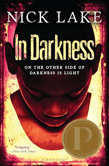 In Darkness cover