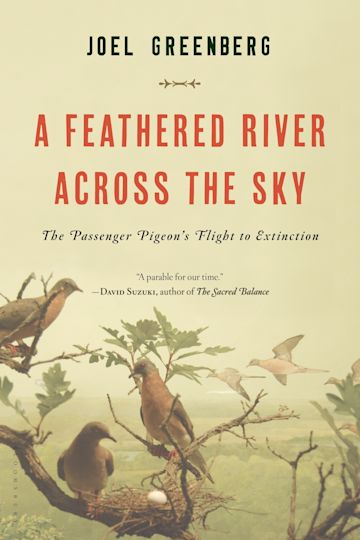 A Feathered River Across the Sky cover