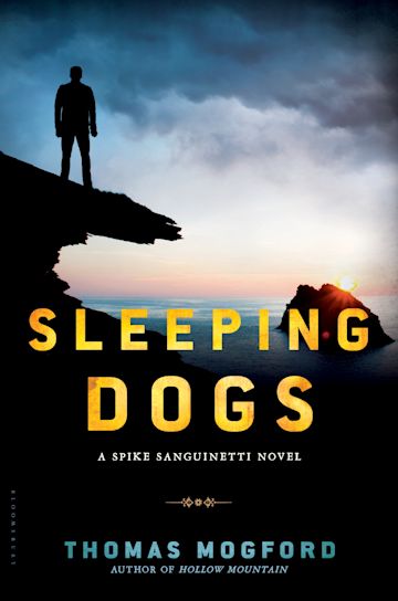 Sleeping Dogs cover