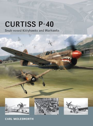 Curtiss P-40 cover