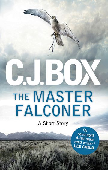 The Master Falconer cover