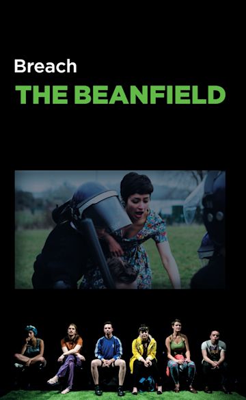 The Beanfield cover