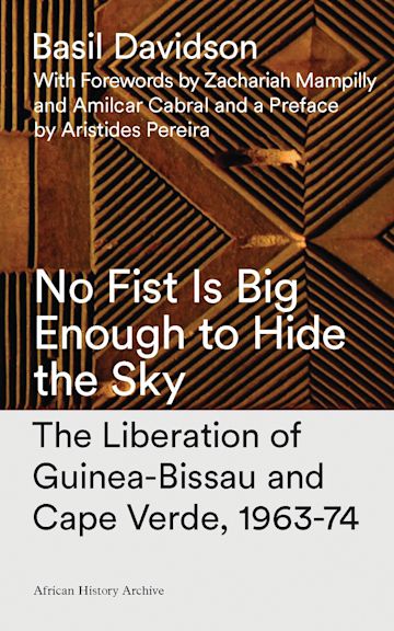No Fist Is Big Enough to Hide the Sky cover