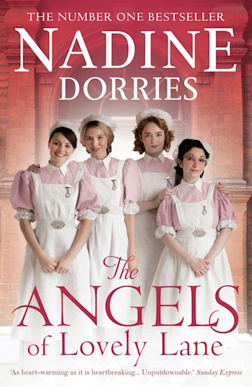 The Angels of Lovely Lane cover