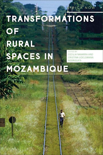 Transformations of Rural Spaces in Mozambique cover