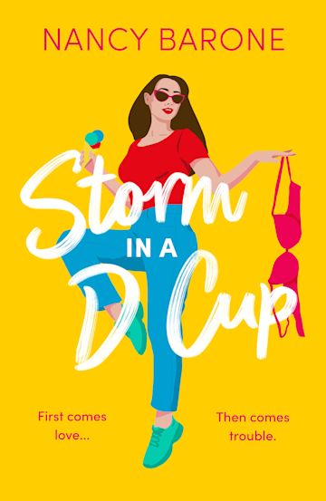 Storm in a D Cup cover