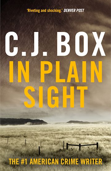 In Plain Sight cover