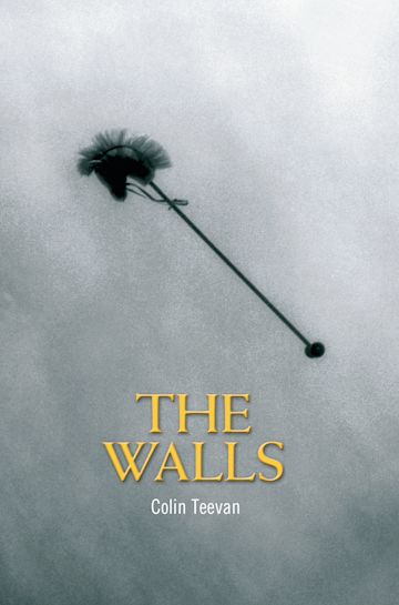 The Walls cover