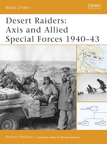 Desert Raiders cover