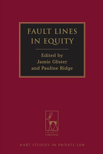 Fault Lines in Equity cover