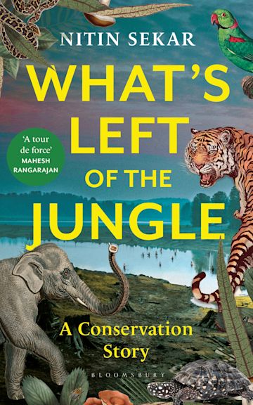 What's Left of the Jungle cover