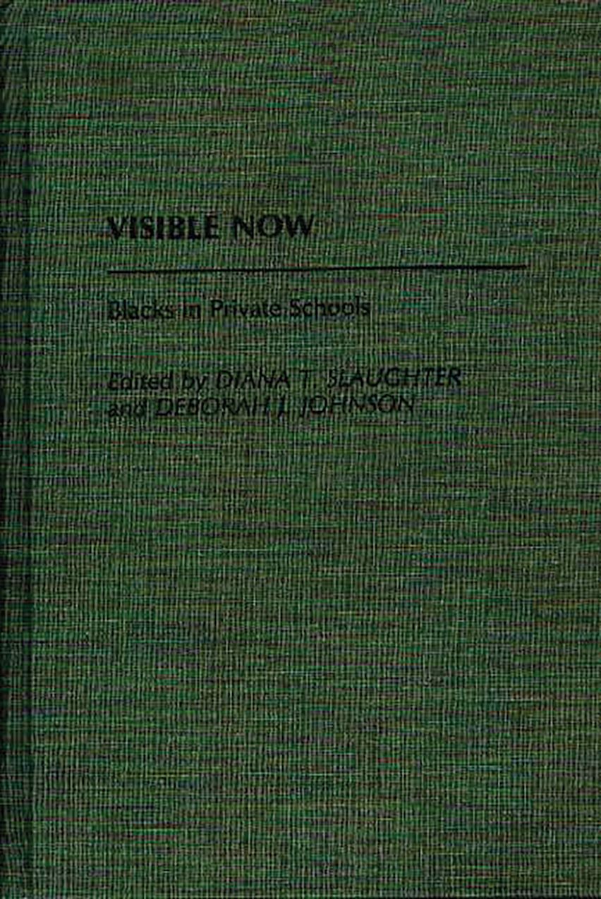 Visible Now cover