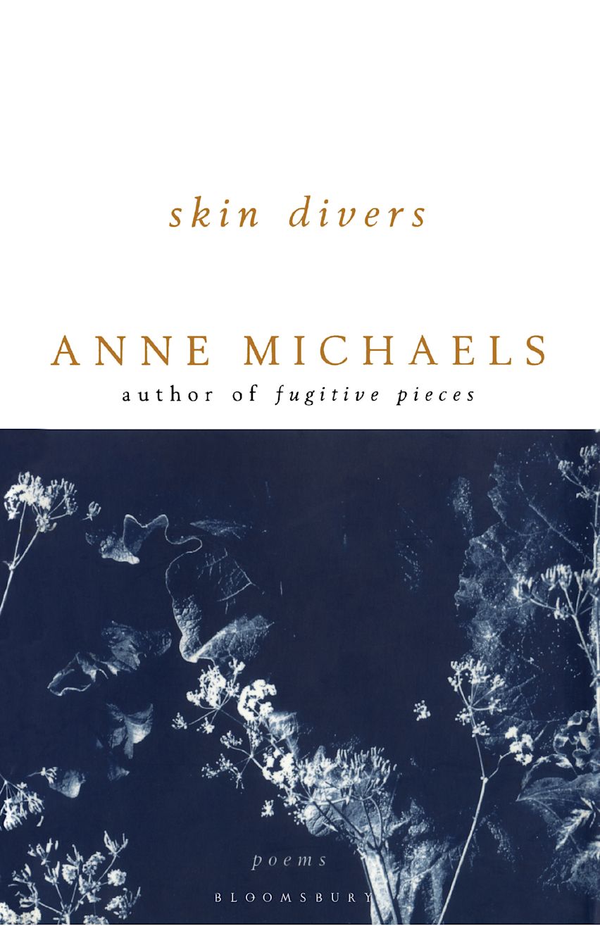 Skin Divers cover