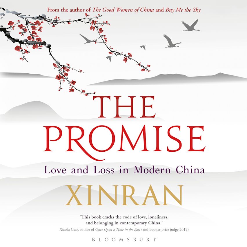 The Promise cover