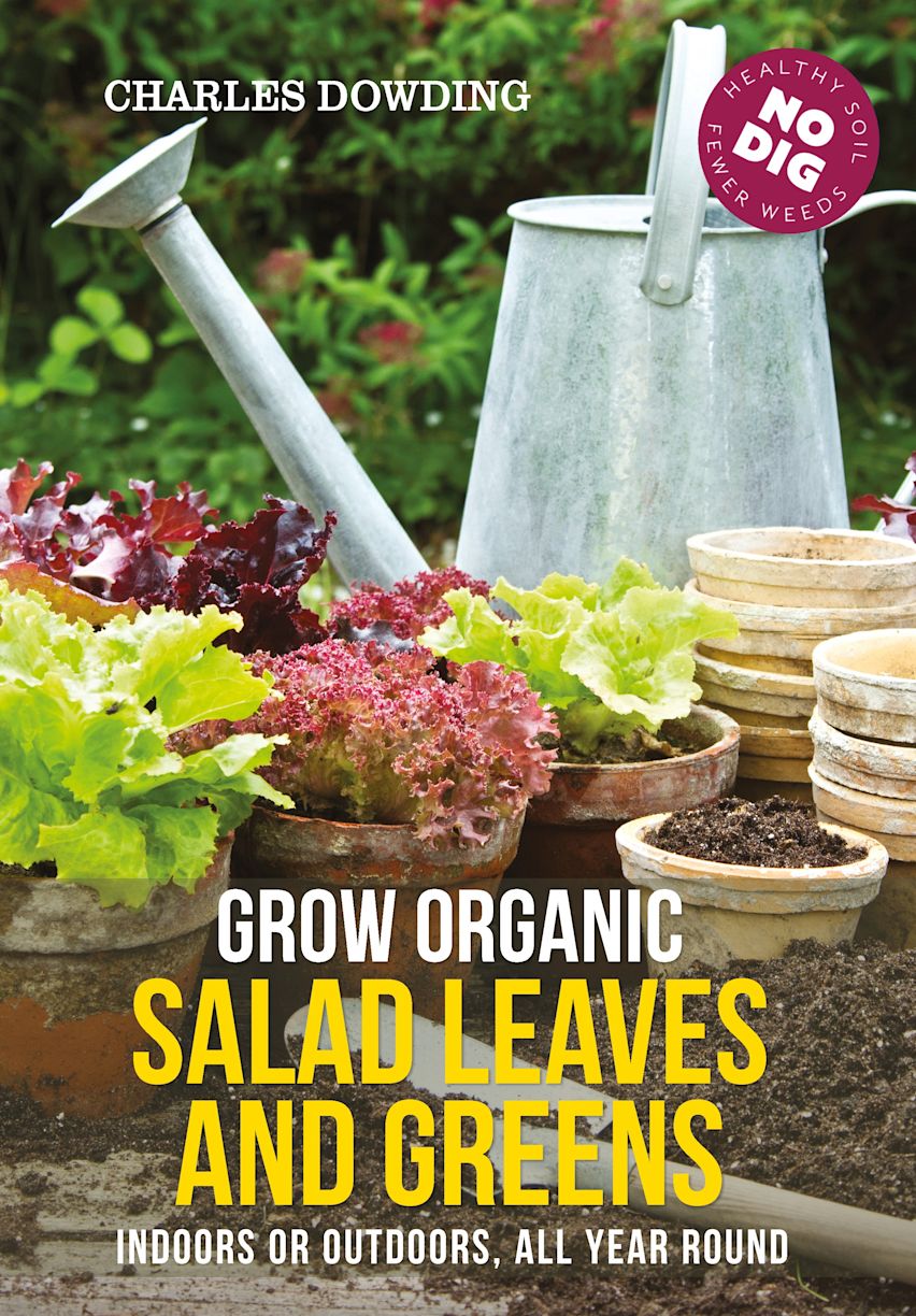 Grow Organic Salad Leaves and Greens cover