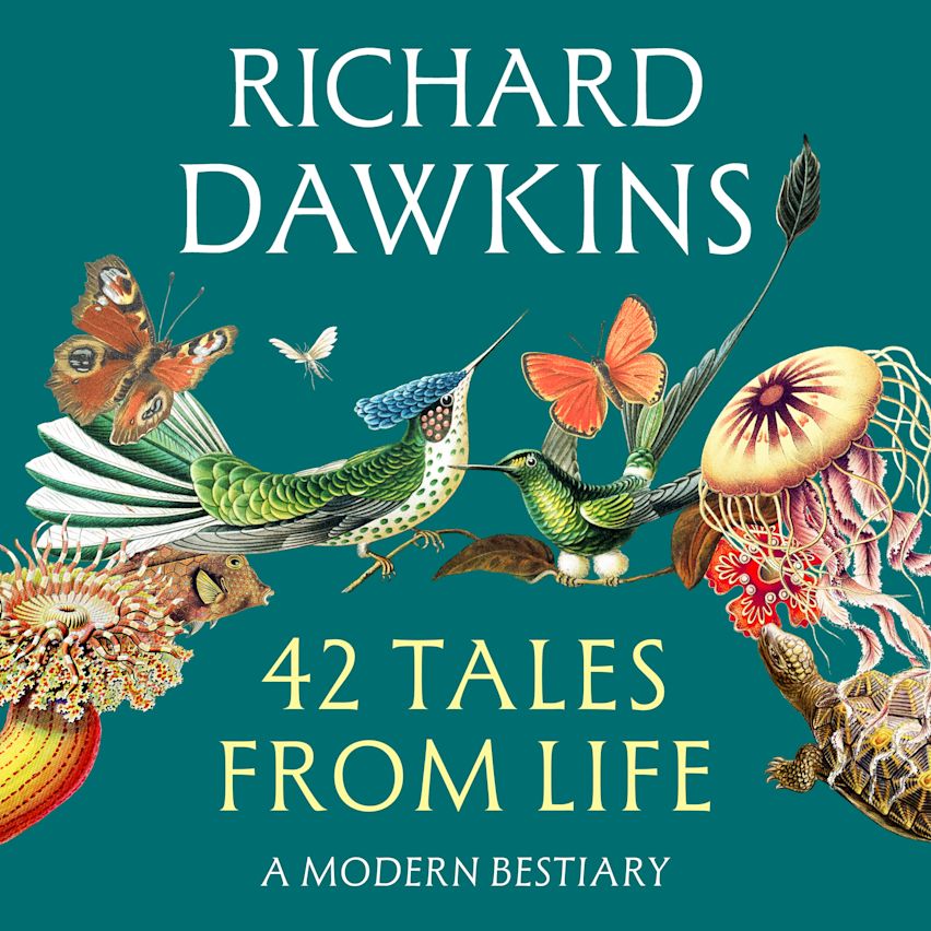 42 Tales From Life cover