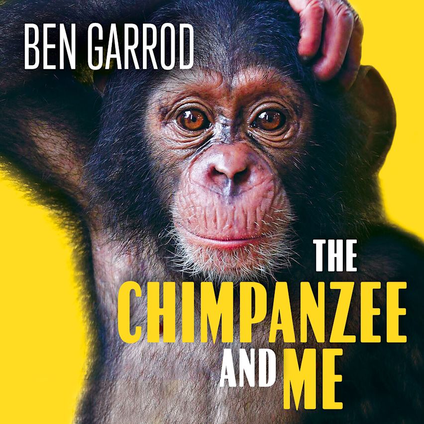 The Chimpanzee & Me cover