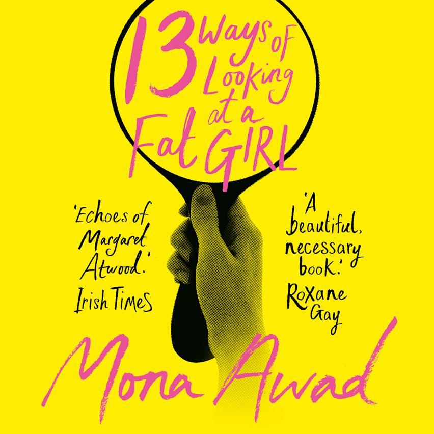 13 Ways of Looking at a Fat Girl cover