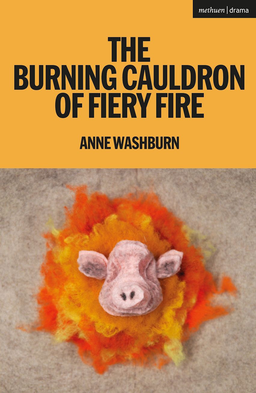 The Burning Cauldron of Fiery Fire cover