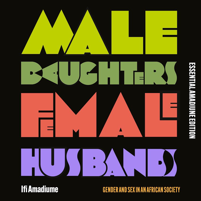 Male Daughters, Female Husbands cover